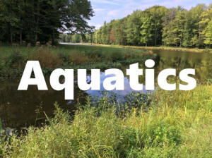 aquatics heading